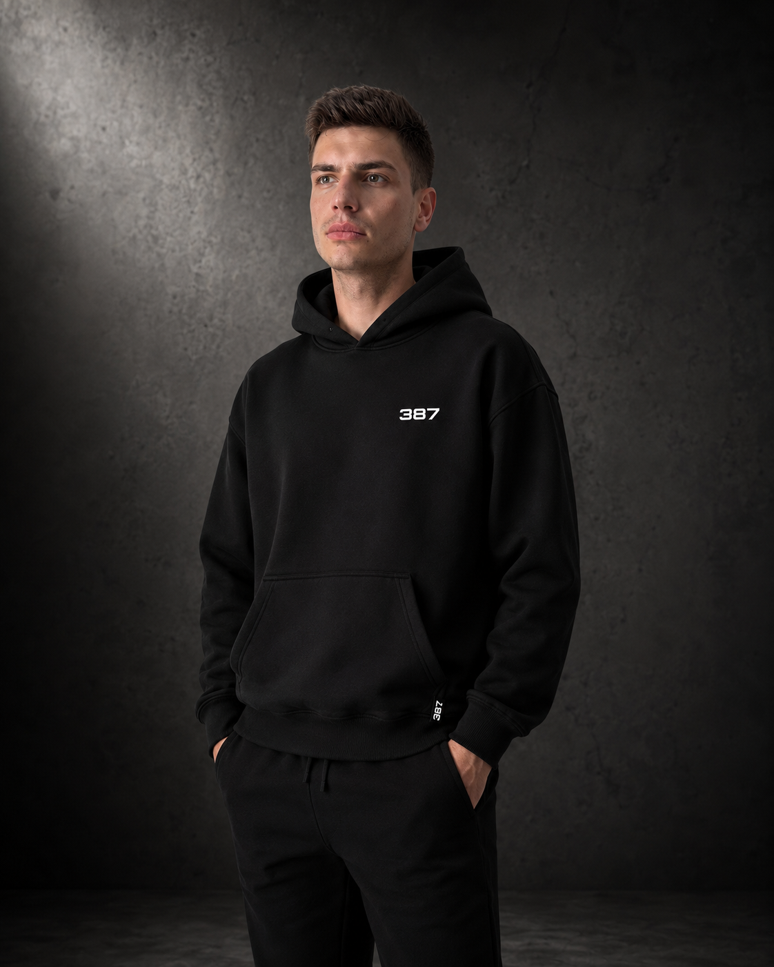Normal Fit Pullover 387